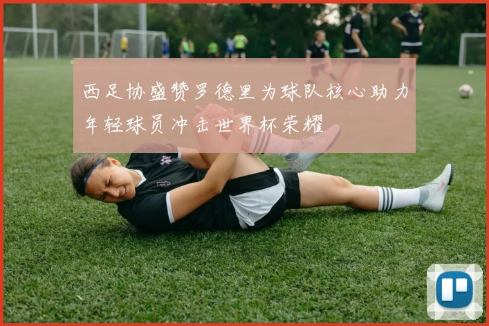 西足协盛赞罗德里为球队核心助力年轻球员冲击世界杯荣耀