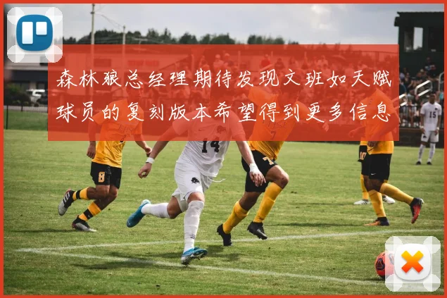 森林狼总经理期待发现文班如天赋球员的复刻版本希望得到更多信息